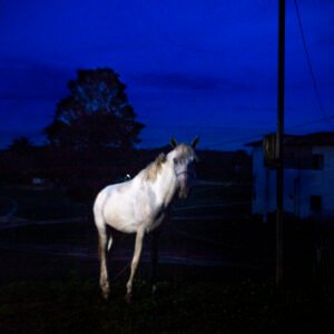 Entre Rios e Mocambos. Na boca da noite. 2020