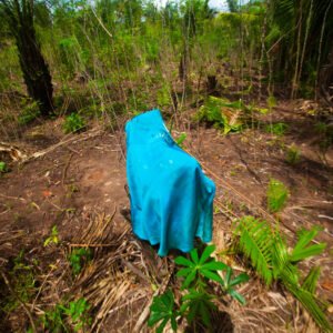 Um jardim para minhas avós. 2020